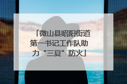 微山县昭阳街道第一书记工作队助力“三夏”防火