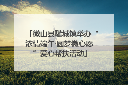 微山县驩城镇举办“浓情端午·圆梦微心愿”爱心帮扶活动