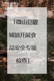 微山县驩城镇开展食品安全专项检查