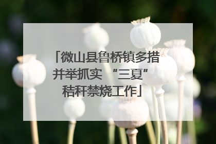 微山县鲁桥镇多措并举抓实 “三夏” 秸秆禁烧工作