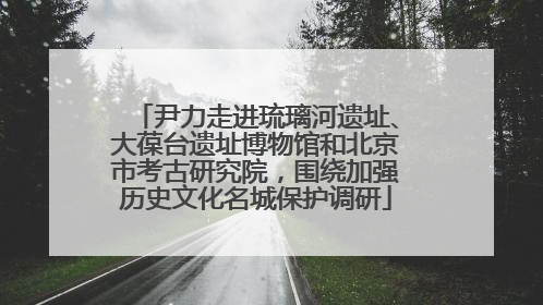 尹力走进琉璃河遗址、大葆台遗址博物馆和北京市考古研究院，围绕加强历史文化名城保护调研