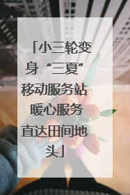 小三轮变身“三夏”移动服务站 暖心服务直达田间地头