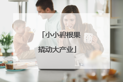 小小碧根果撬动大产业