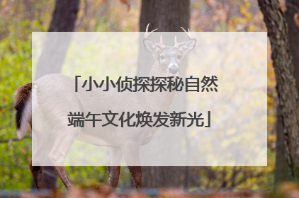 小小侦探探秘自然 端午文化焕发新光