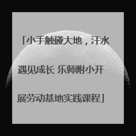 小手触碰大地，汗水遇见成长 乐师附小开展劳动基地实践课程