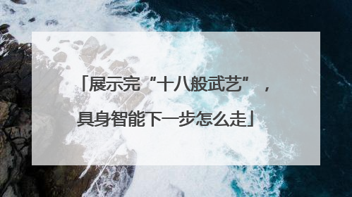 展示完“十八般武艺”，具身智能下一步怎么走