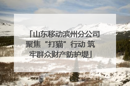 山东移动滨州分公司聚焦“打猫”行动 筑牢群众财产防护堤