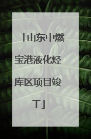 山东中燃宝港液化烃库区项目竣工