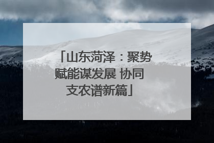 山东菏泽：聚势赋能谋发展 协同支农谱新篇