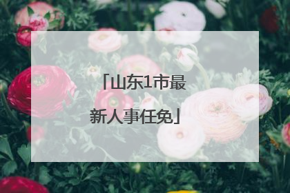 山东1市最新人事任免