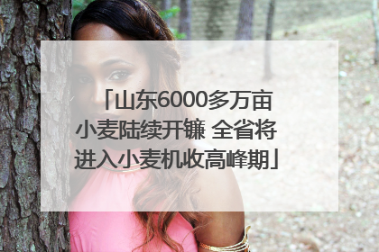 山东6000多万亩小麦陆续开镰 全省将进入小麦机收高峰期