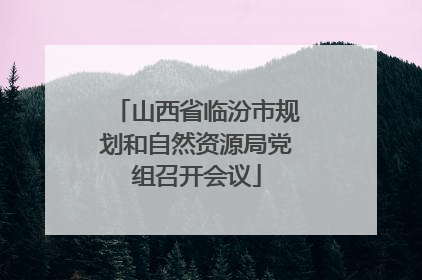 山西省临汾市规划和自然资源局党组召开会议