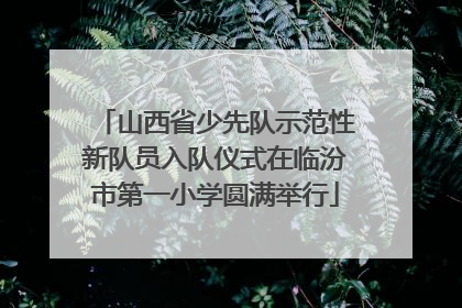 山西省少先队示范性新队员入队仪式在临汾市第一小学圆满举行