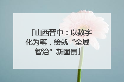 山西晋中：以数字化为笔，绘就“全域智治”新图景