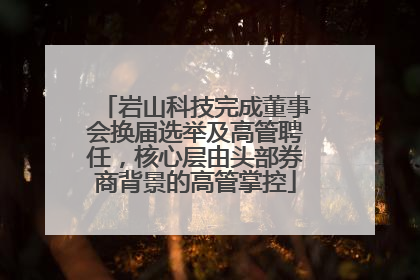 岩山科技完成董事会换届选举及高管聘任，核心层由头部券商背景的高管掌控