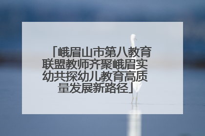 峨眉山市第八教育联盟教师齐聚峨眉实幼共探幼儿教育高质量发展新路径