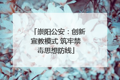 崇阳公安：创新宣教模式 筑牢禁毒思想防线