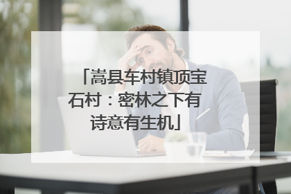 嵩县车村镇顶宝石村：密林之下有诗意有生机