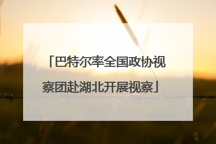 巴特尔率全国政协视察团赴湖北开展视察