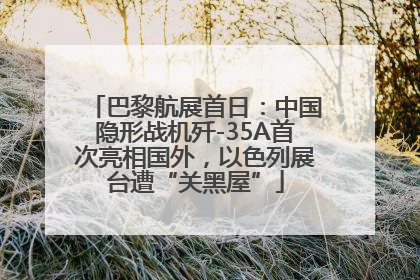 巴黎航展首日：中国隐形战机歼-35A首次亮相国外，以色列展台遭“关黑屋”