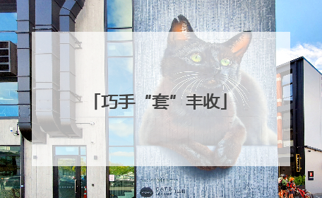 巧手“套”丰收