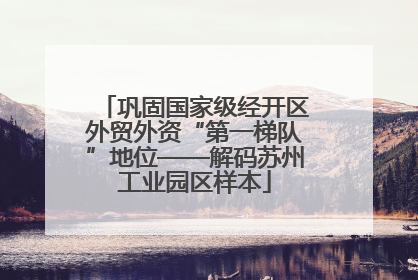 巩固国家级经开区外贸外资“第一梯队”地位——解码苏州工业园区样本