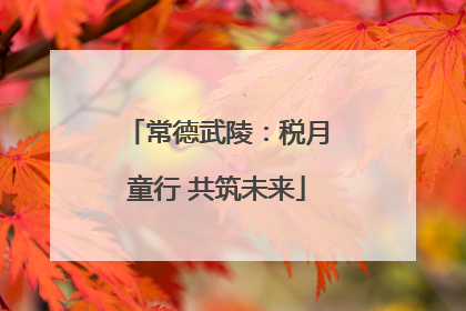 常德武陵：税月童行 共筑未来