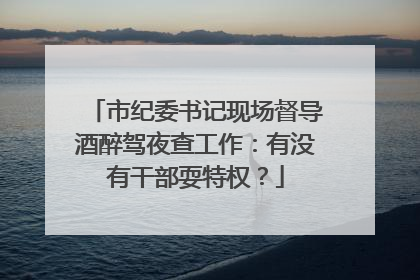 市纪委书记现场督导酒醉驾夜查工作：有没有干部耍特权？