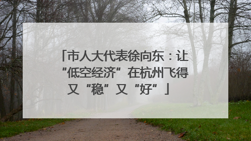 市人大代表徐向东：让“低空经济”在杭州飞得又“稳”又“好”