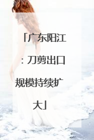 广东阳江：刀剪出口规模持续扩大