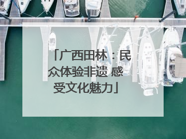 广西田林：民众体验非遗 感受文化魅力
