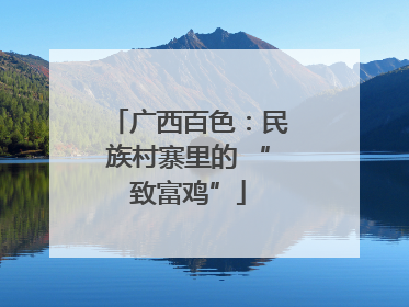 广西百色：民族村寨里的 “致富鸡”