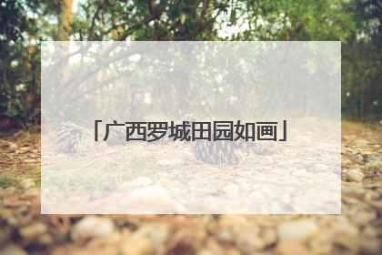 广西罗城田园如画