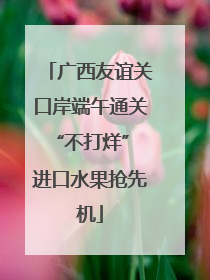广西友谊关口岸端午通关“不打烊” 进口水果抢先机