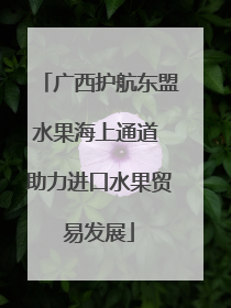 广西护航东盟水果海上通道 助力进口水果贸易发展