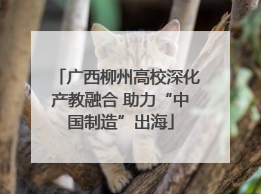 广西柳州高校深化产教融合 助力“中国制造”出海