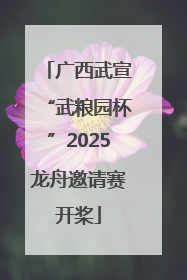 广西武宣“武粮园杯”2025龙舟邀请赛开桨