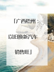 广西梧州：以旧换新汽车销售旺