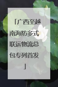 广西至越南海防多式联运物流总包专列首发