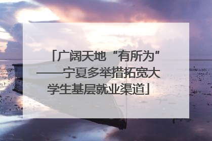 广阔天地“有所为”——宁夏多举措拓宽大学生基层就业渠道