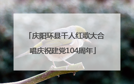 庆阳环县千人红歌大合唱庆祝建党104周年