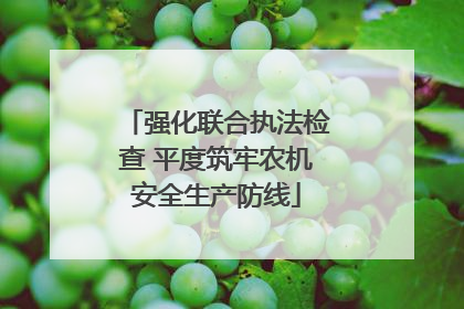 强化联合执法检查 平度筑牢农机安全生产防线