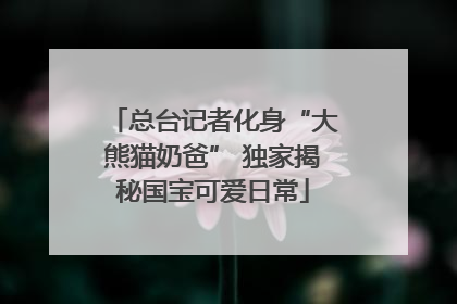 总台记者化身“大熊猫奶爸” 独家揭秘国宝可爱日常