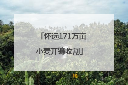 怀远171万亩小麦开镰收割
