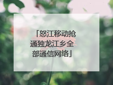 怒江移动抢通独龙江乡全部通信网络
