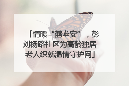 情暖“鹤耋安”，彭刘杨路社区为高龄独居老人织就温情守护网