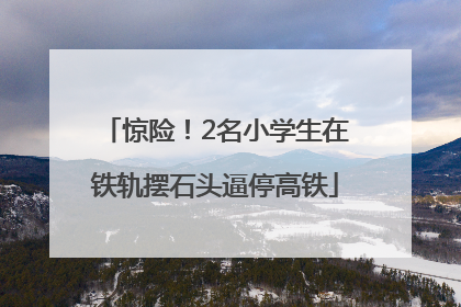 惊险！2名小学生在铁轨摆石头逼停高铁