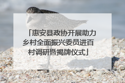 惠安县政协开展助力乡村全面振兴委员进百村调研暨揭牌仪式