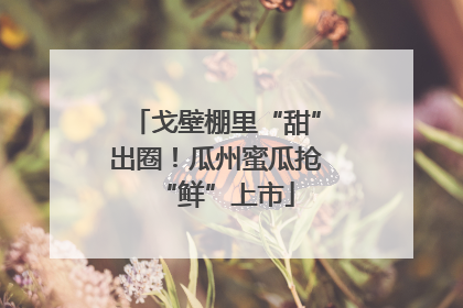 戈壁棚里“甜”出圈！瓜州蜜瓜抢“鲜”上市