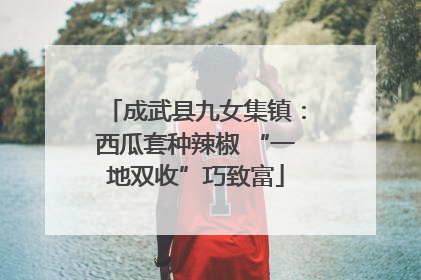 成武县九女集镇：西瓜套种辣椒 “一地双收”巧致富